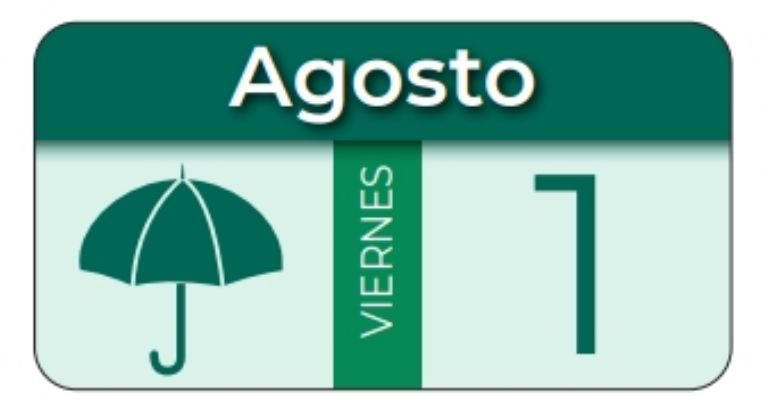 Calendario de pagos | IMSS
