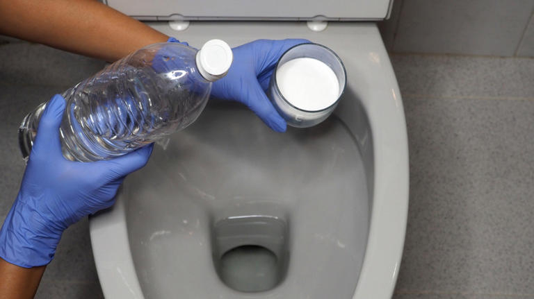 Blast Stubborn Stains Off Your Toilet Seat Using A Kitchen Staple You ...