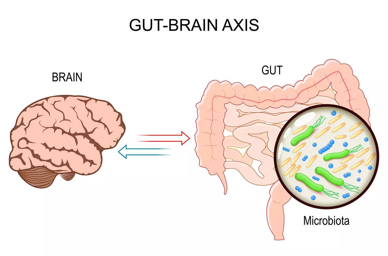Top 10 Foods Ranked For Gut Brain Axis By A Harvard Trained Doctor