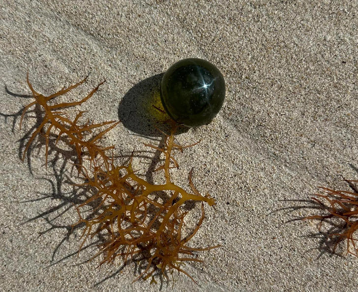 14 People Who Found Bizarre Objects — and What They Really Are Will ...