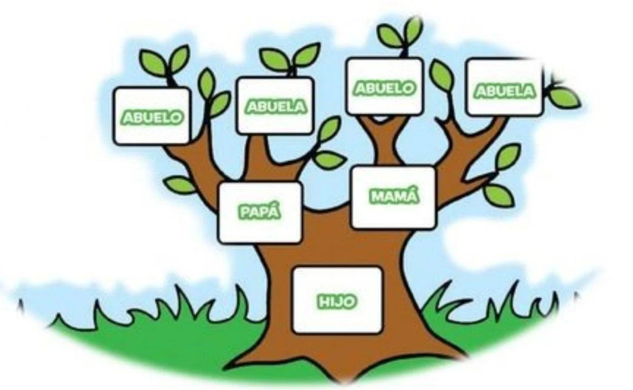 Cómo crear tu árbol genealógico con Tonfotos: guía completa, image size:1248x770