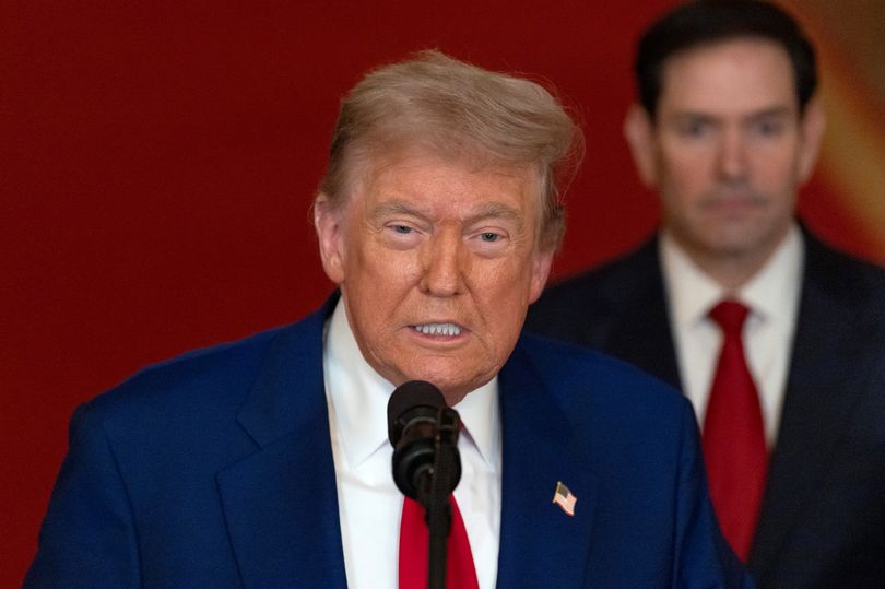'I have highest IQ in the world and this is what I think of Donald Trump'