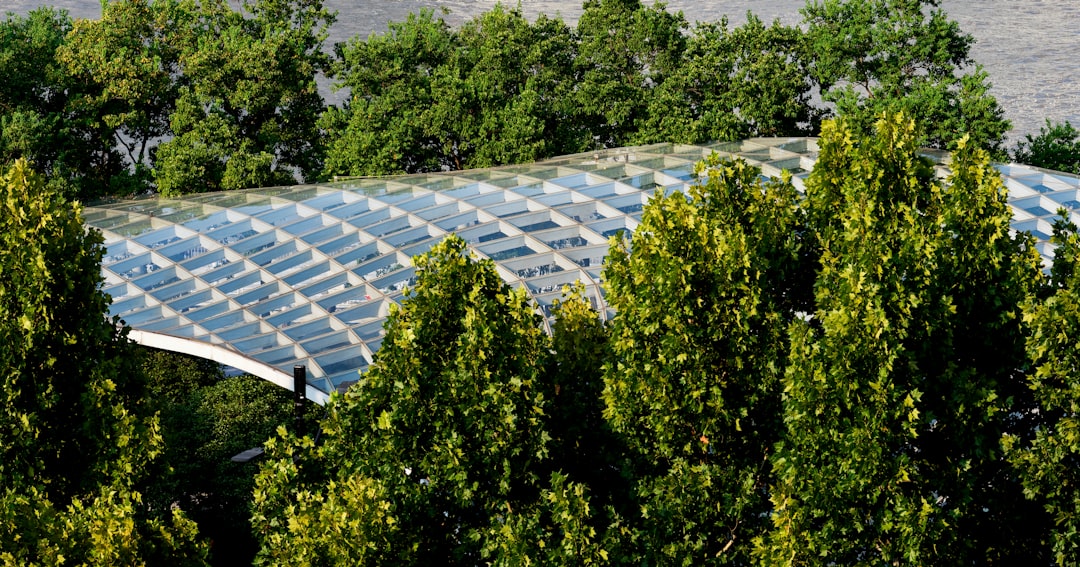 Why Solar Energy Might Not Be as Clean as We Thought