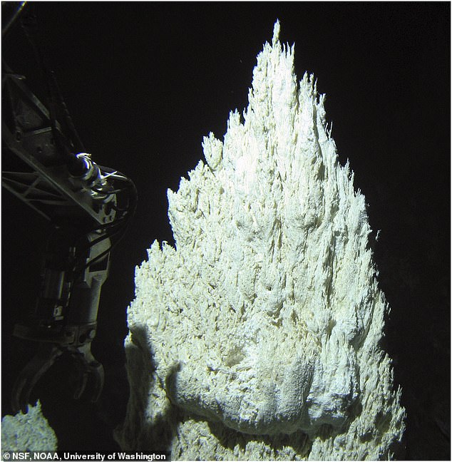 Ancient 'lost city' found at bottom of the Atlantic Ocean holds clue to ...