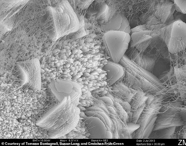 Ancient 'lost city' found at bottom of the Atlantic Ocean holds clue to ...