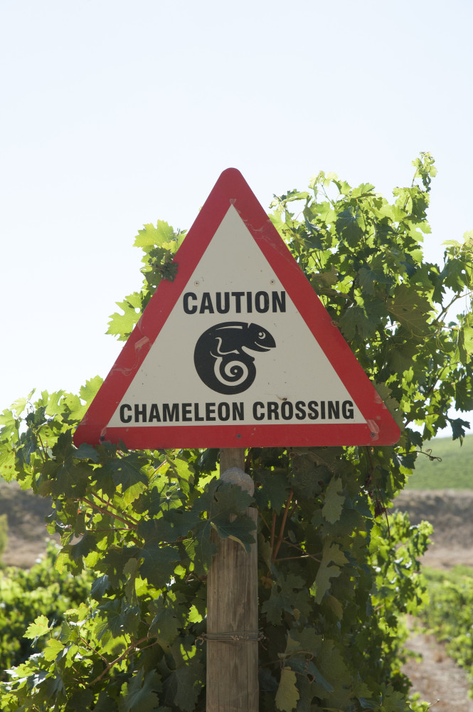 Funny and unusual traffic signs across the globe