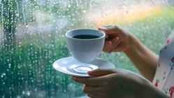 Prakiraan Cuaca BMKG Wonosobo Hari Ini, 21 Oktober 2025, Wilayah Hujan Ringan