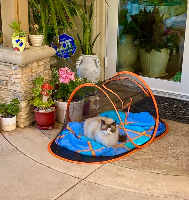 A fluffy cat lounges in an outdoor pet tent surrounded by potted plants on a patio