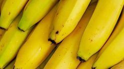 Hentikan Kesalahpahaman! Buah Berlendir Ini Tetap Sehat untuk Tubuh