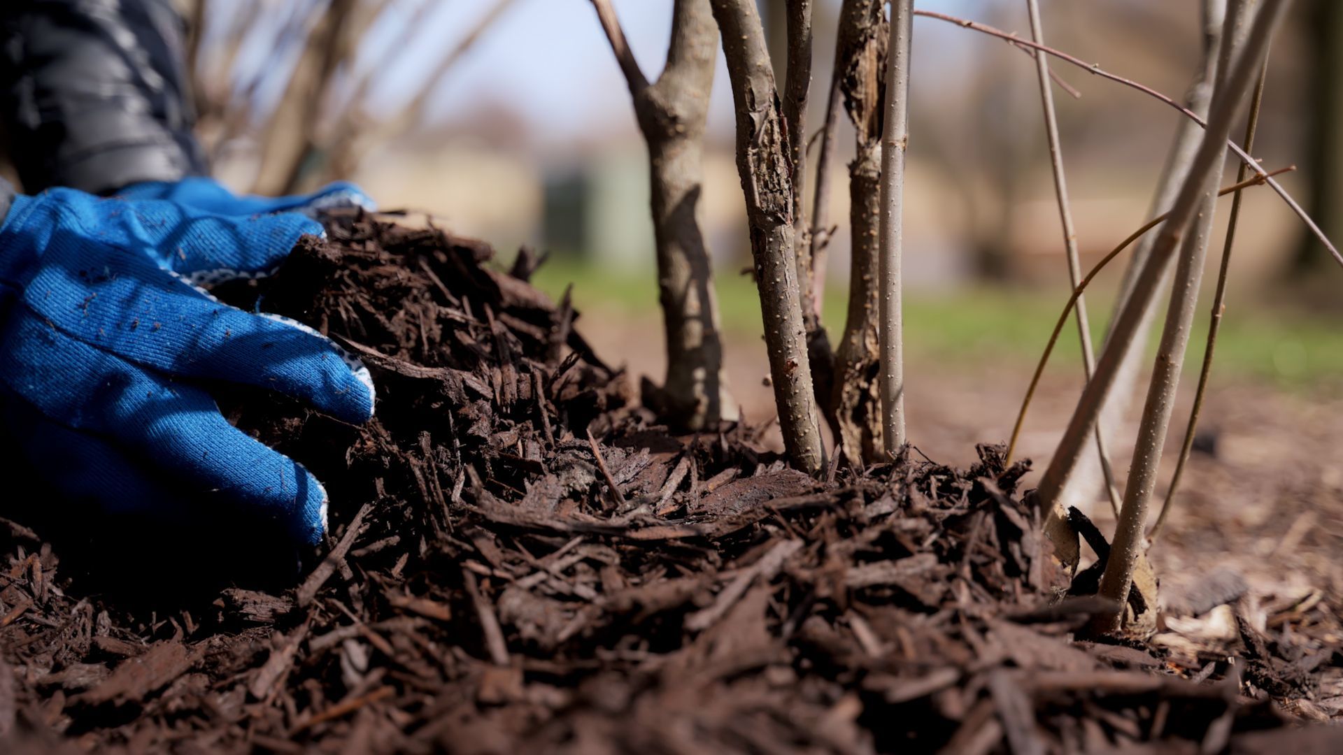 Solar Family Krawatte - Bedruckte Herrenkrawatte Für Feste Und Feiern