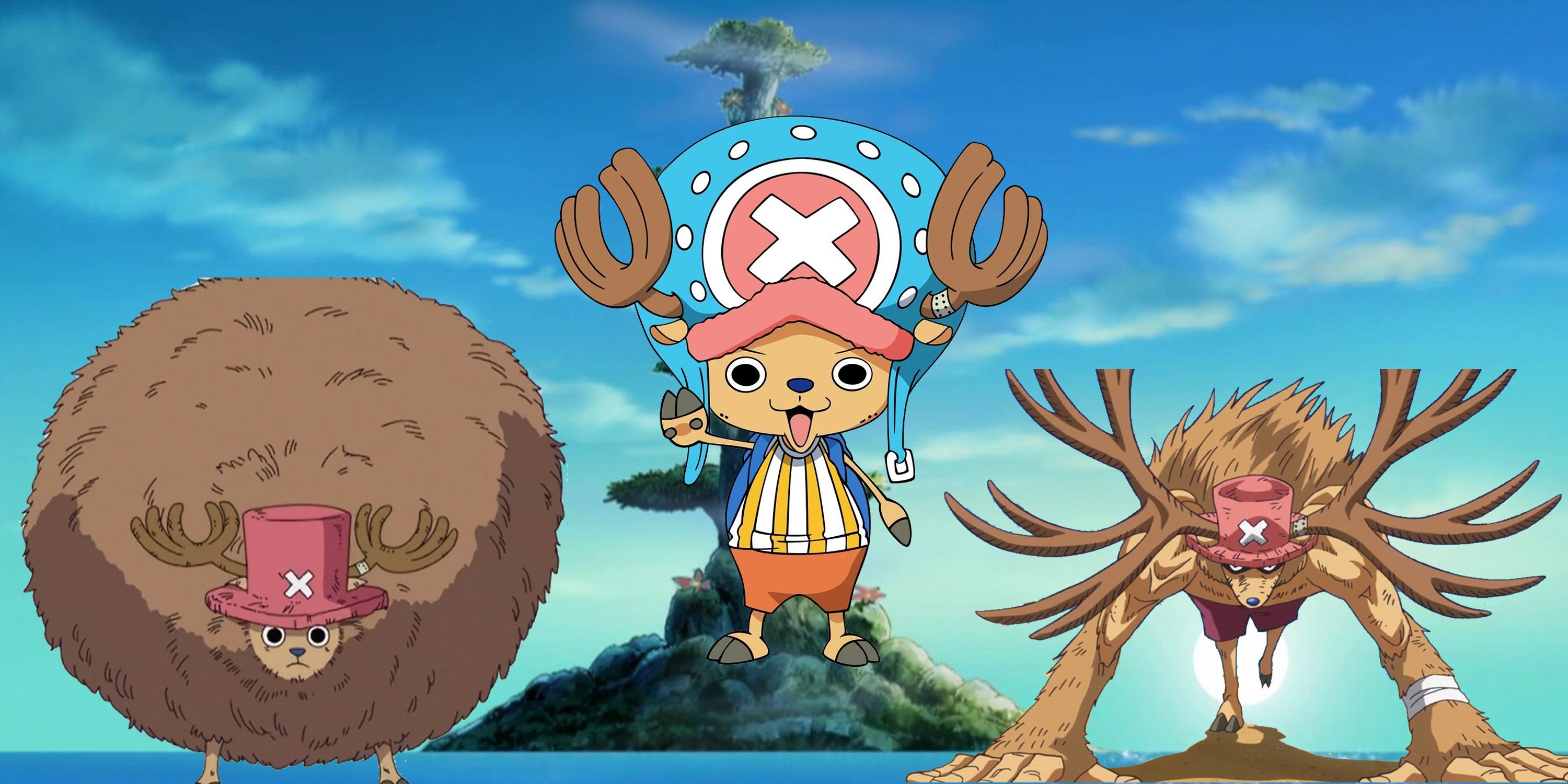 Chopper's Combat Forms Explained In One Piece