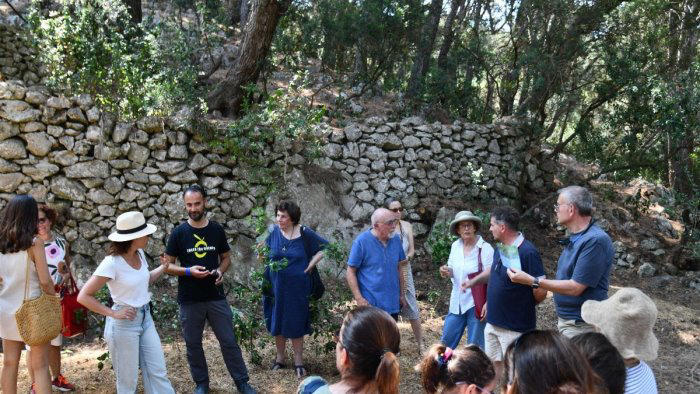 anacapri merenda tra gli olivi passeggiata assaggi e disegni