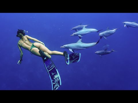 Living from the Sea & Spearfishing for Food