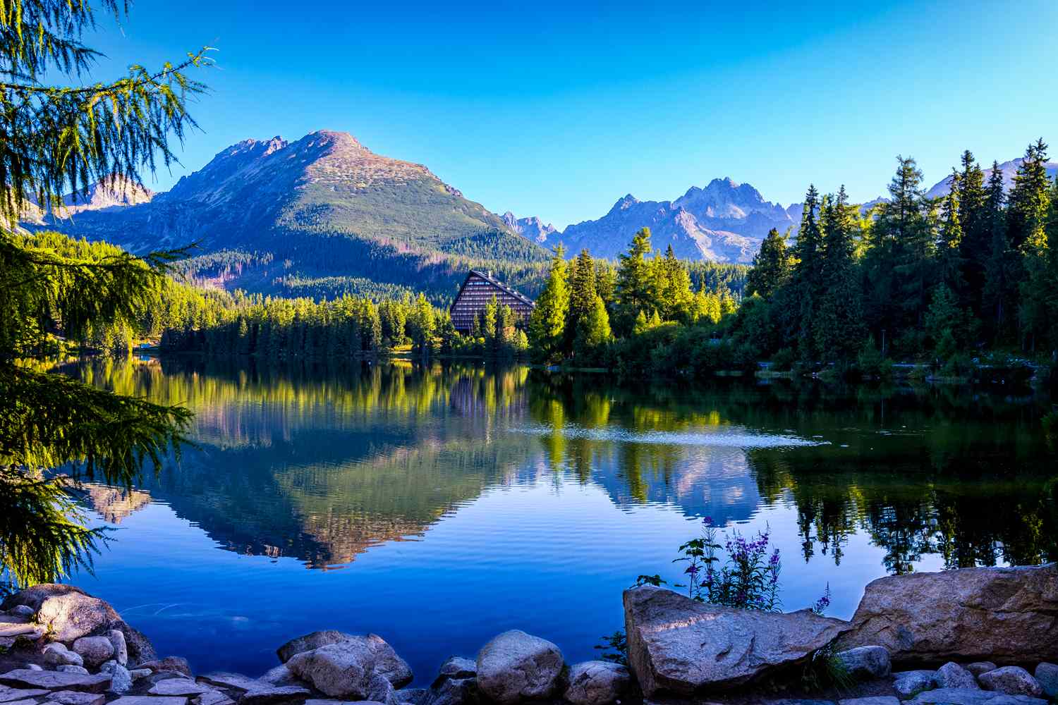 Thousands Sickened, 9 Killed from Virus Outbreak at 4 Popular Vacation(00)