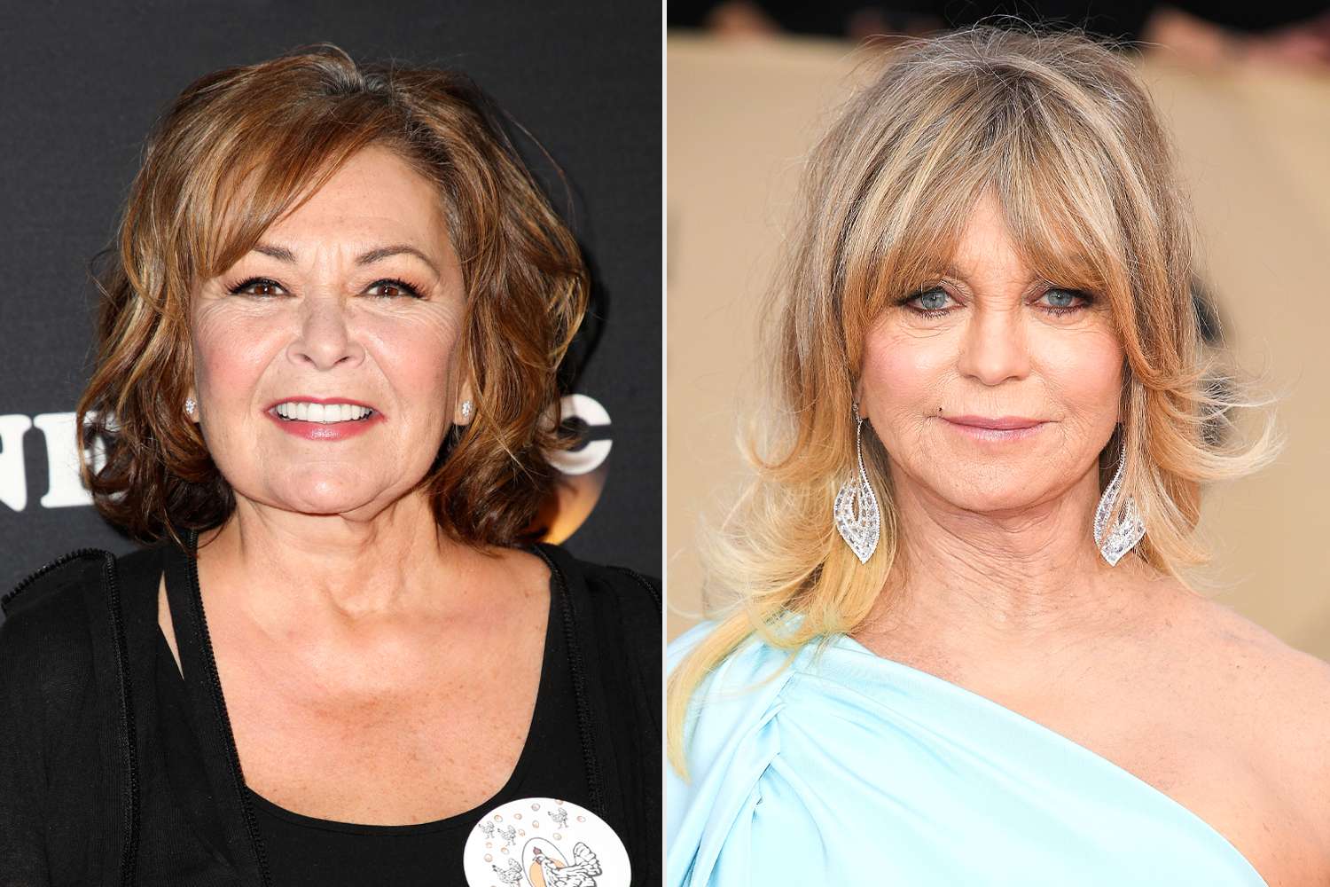 Roseanne Barr says baby she gave up for adoption as a teen thought she