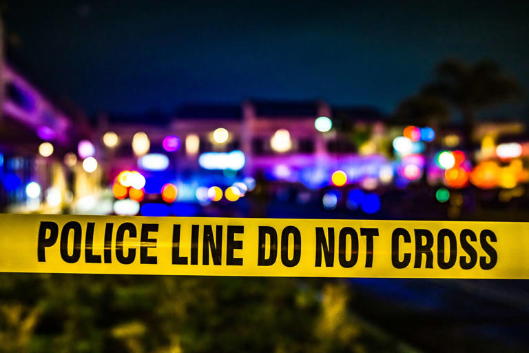 3 police officers shot 'without warning' while responding to domestic call