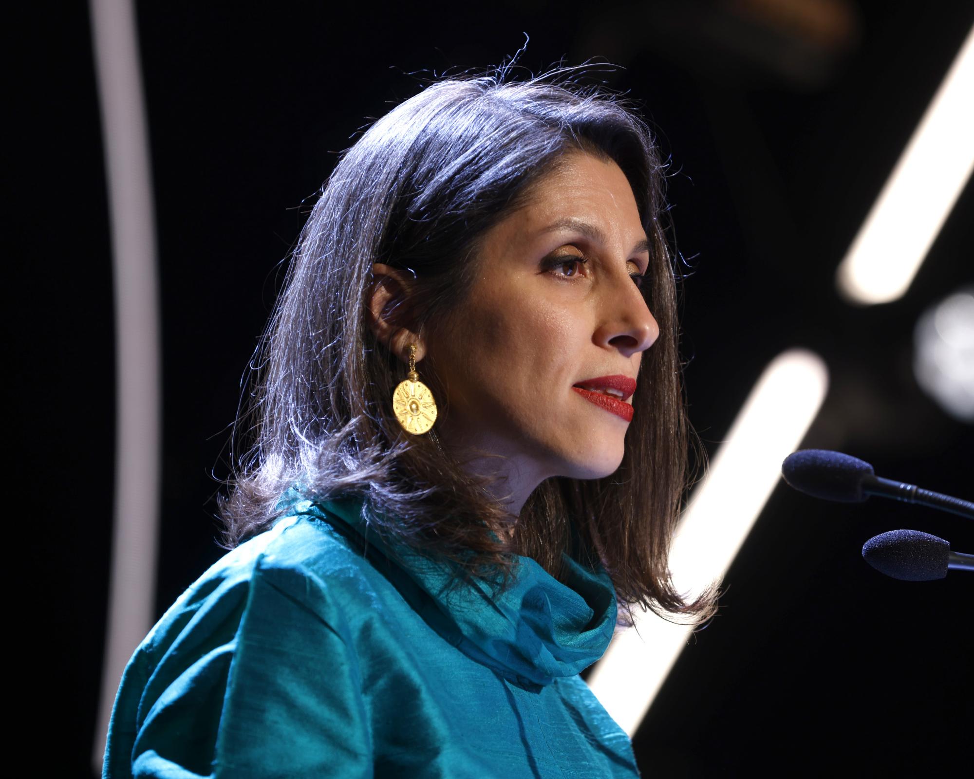 Nazanin Zaghari-Ratcliffe criticised the UK government for failing to describe the US attacks on Iran as unlawful. Photograph: David Parry/Shutterstock