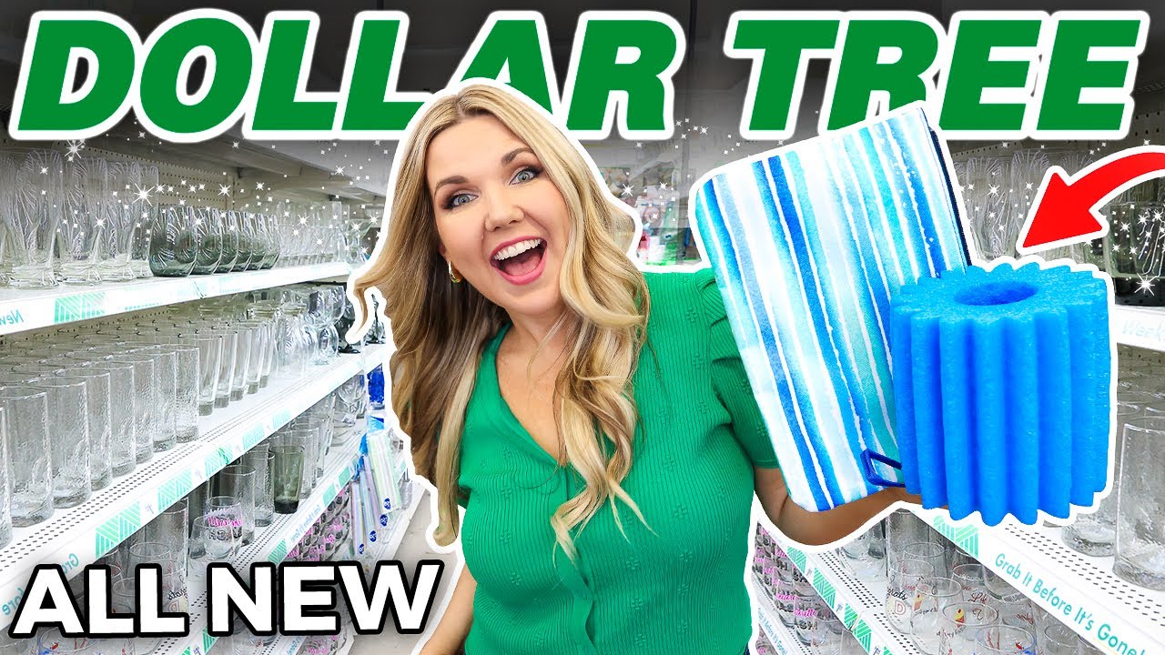 Dollar Tree Secrets You Need to Know FIRST
