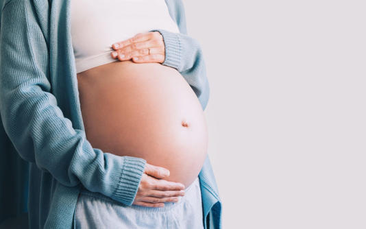 Expectant mothers have been described as 'pregnant participants' in a Government report