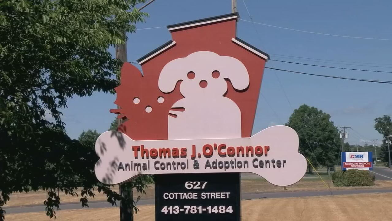 https://img-s-msn-com.akamaized.net/tenant/amp/entityid/AA1HllkE.img?w=768&h=432&m=4&q=76