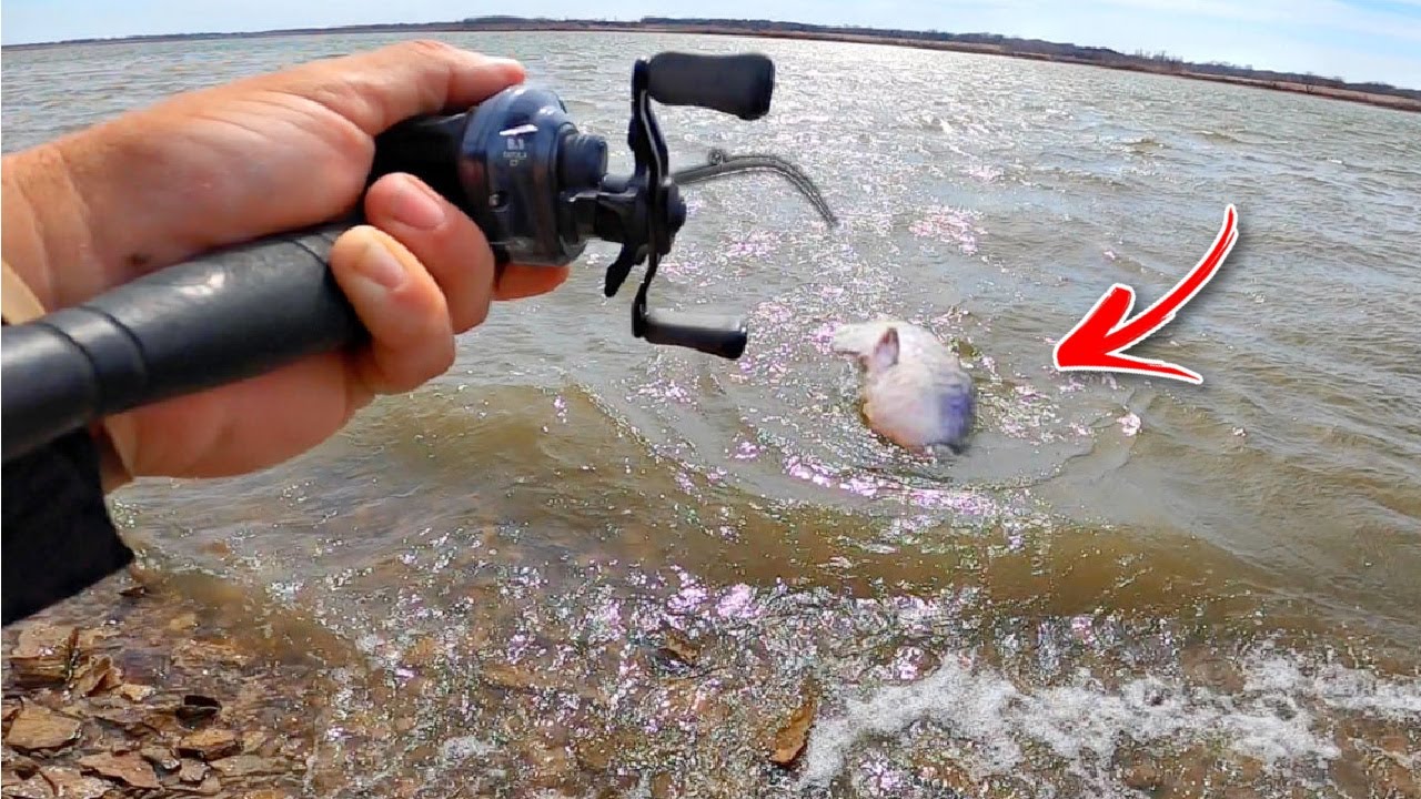 Biggest fish of my life caught twice in one epic day
