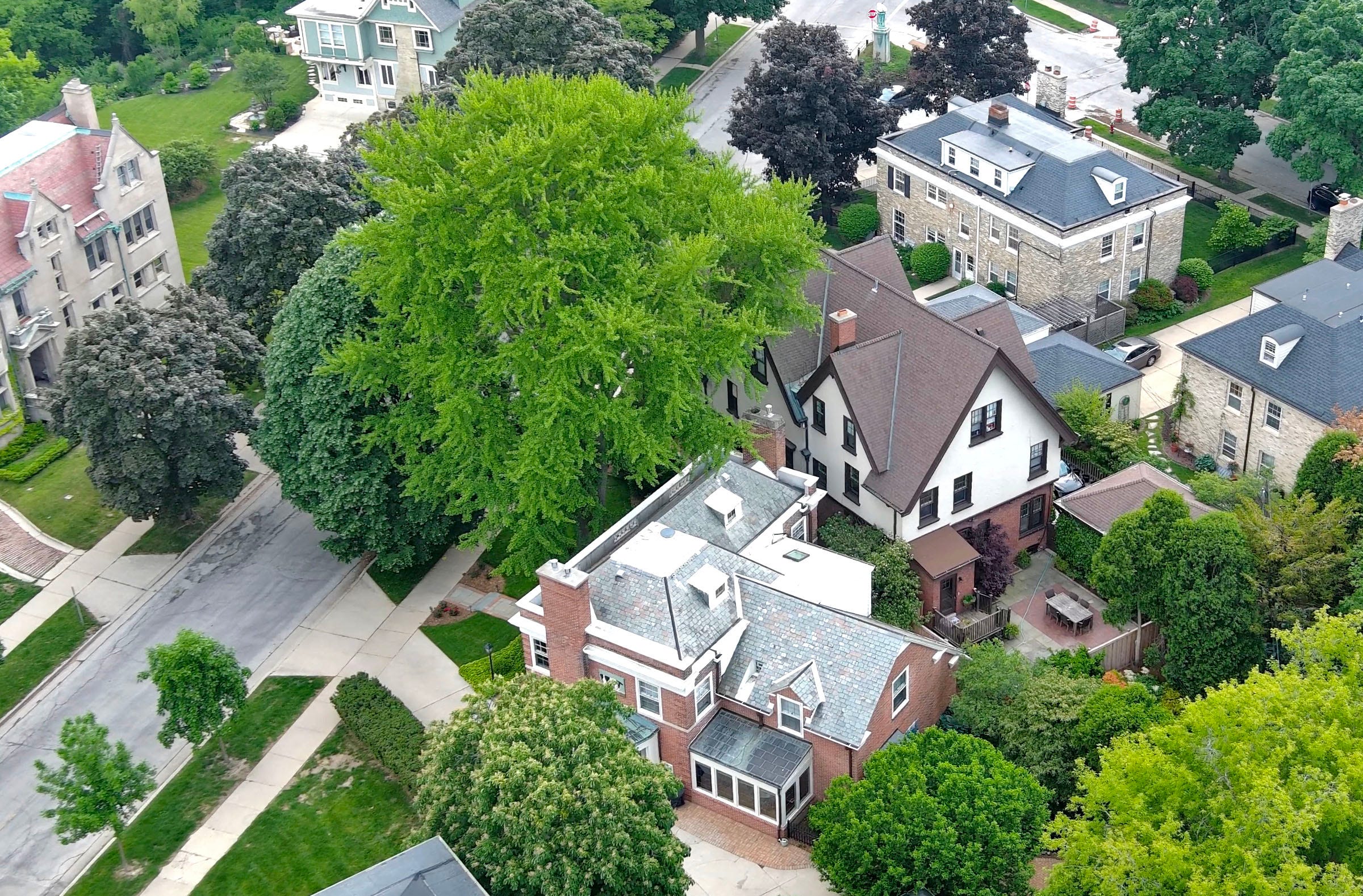 Can I Trim My Neighbor S Tree If Its Branches Grow Into My Yard Who Is