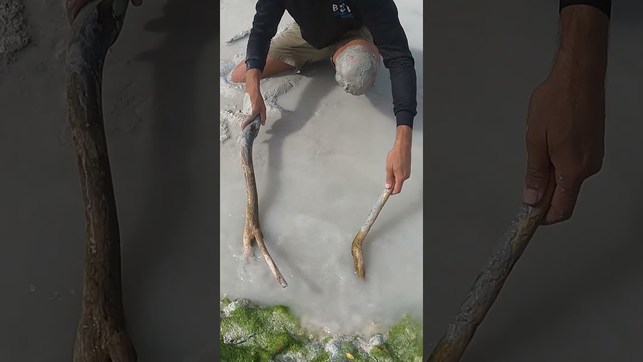 Island Survival Catch Giant Mudcrab Feast