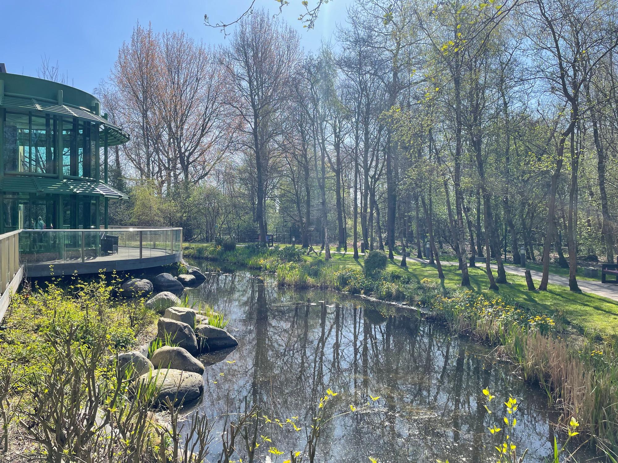 Health Column: A case study - Supporting both patient and carer at home