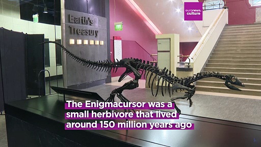 Meet Enigmacursor: New dinosaur species unveiled at London's Natural ...