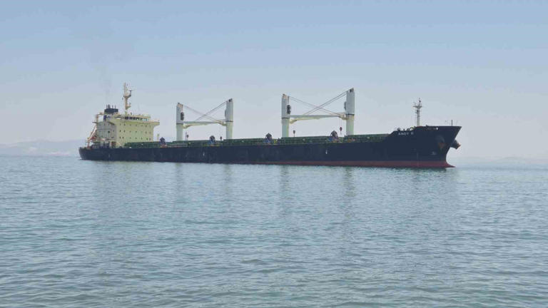 TEKİRDAĞ’IN ŞARKÖY İLÇESİ GAZİKÖY MAHALLESİ AÇIKLARINDA KARAYA OTURAN KURU YÜK GEMİSİ, KÖY KAHVESİNDEKİ VATANDAŞLARIN MERAKLI BAKIŞLARI ARASINDA İZLENİYOR. GEMİ KAPTANININ UYUDUĞU İDDİASI İSE DİKKAT ÇEKTİ.