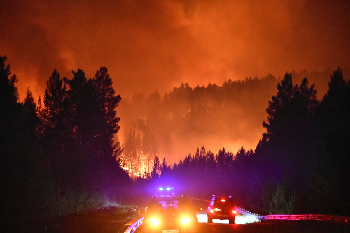 Scientists sound alarm over dangerous longterm impacts of wildfires on