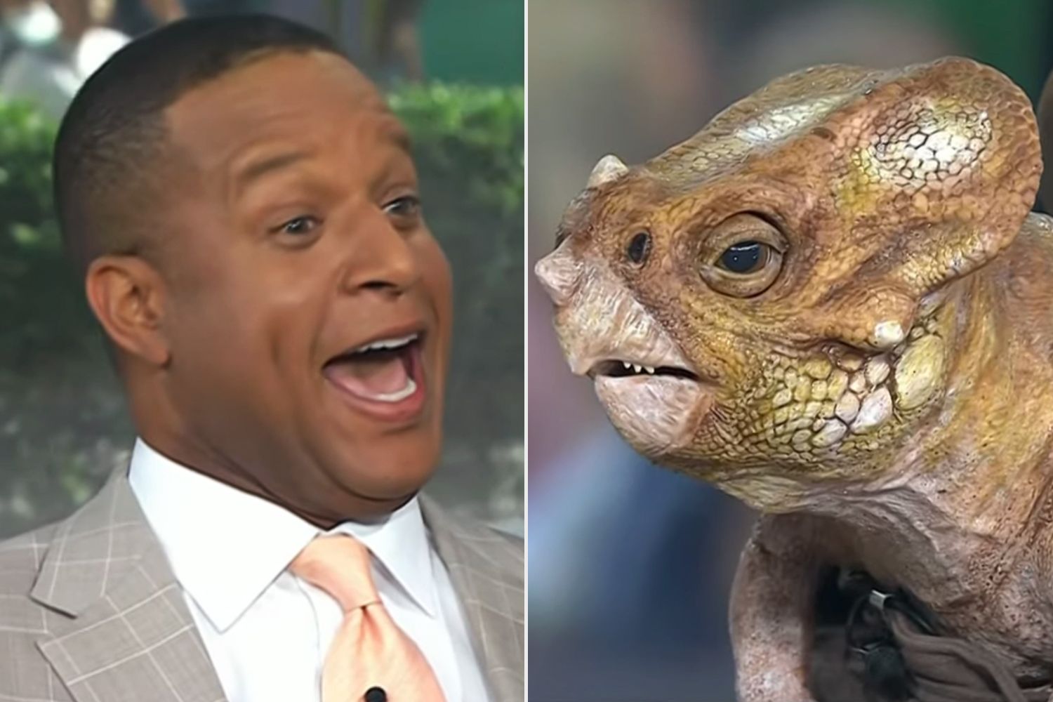 Craig Melvin Attempting to Kiss a Baby Dinosaur on “Today” Is the Most