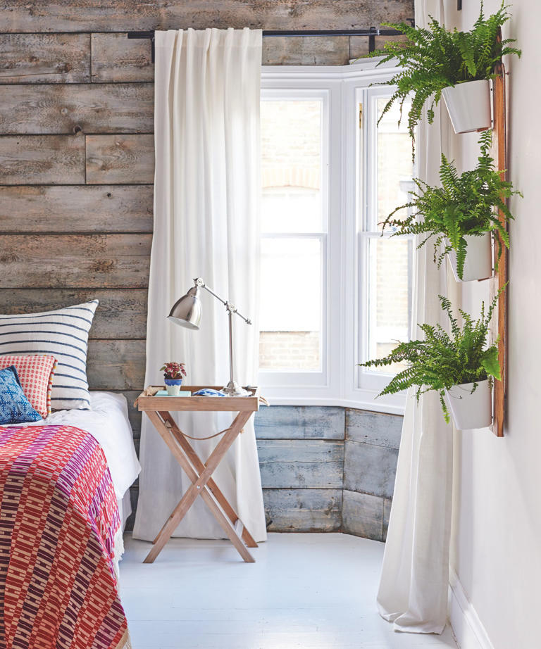 I Write About Houseplants for a Living and These Are the 5 Worst Myths
