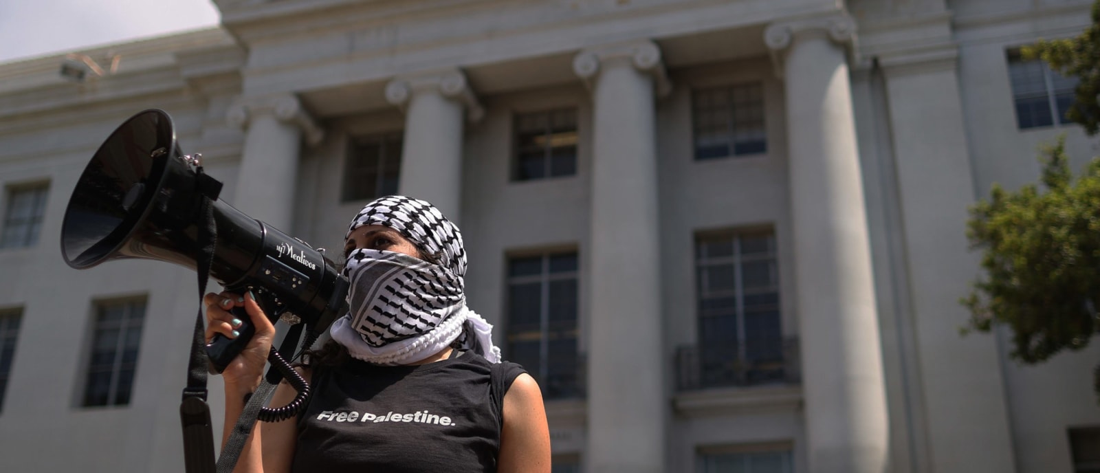 Massachusetts Institute Of Technology Stood By While Professor