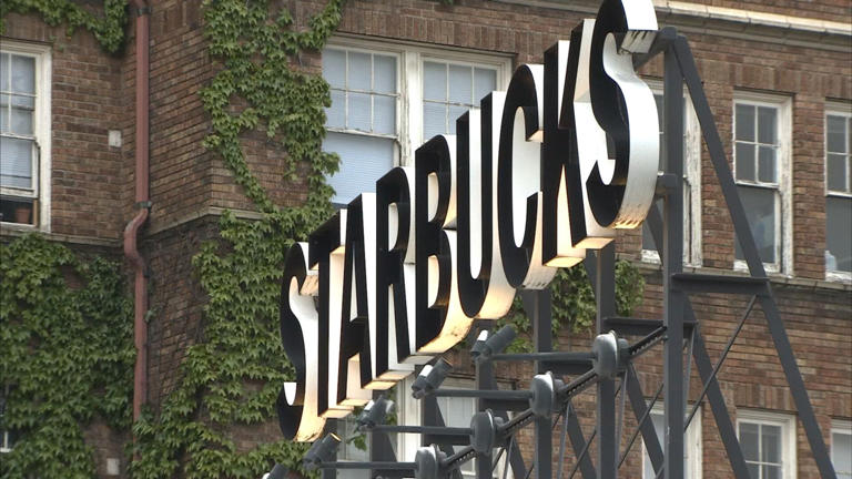 Starbucks plans to open hundreds of new stores after strong earnings ...