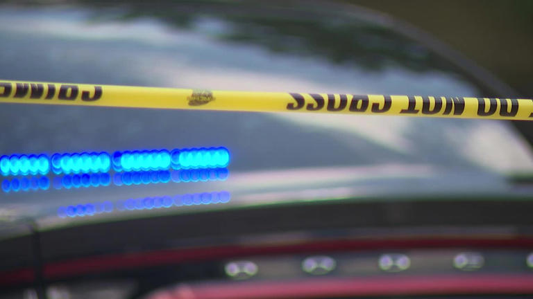 Woman shot multiple times on Panthersville Road