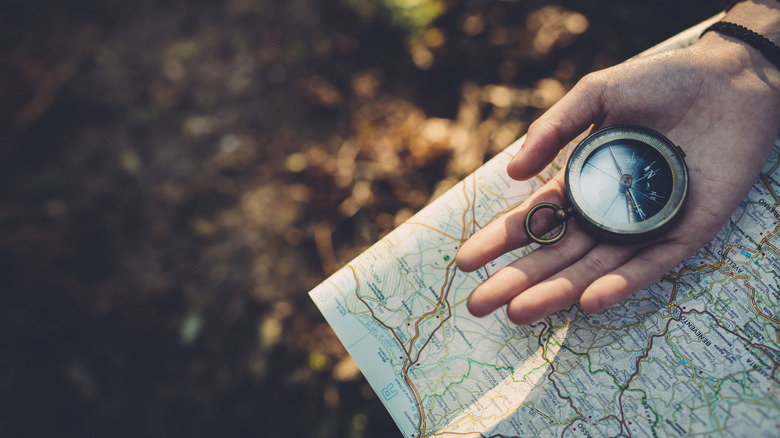 National Park Activities You Might Not Know About