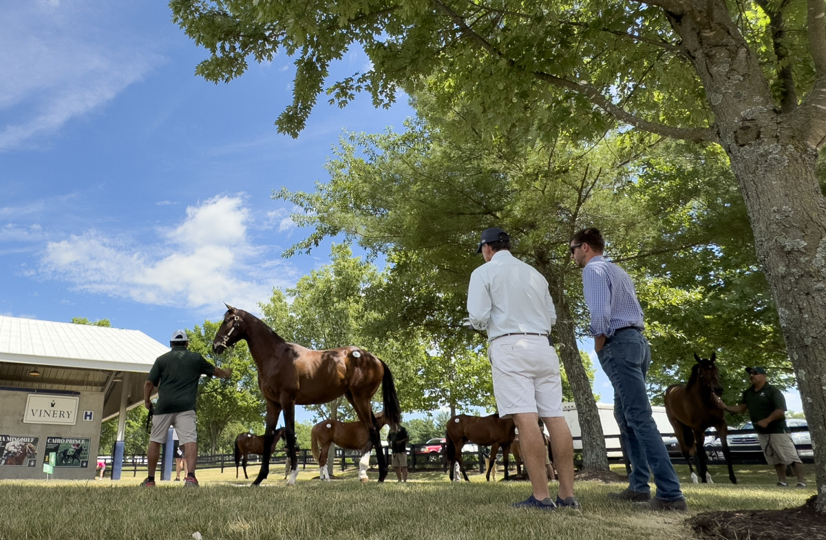 Fasig-Tipton To Offer Trainer Bonus At July Selected Yearling Sale