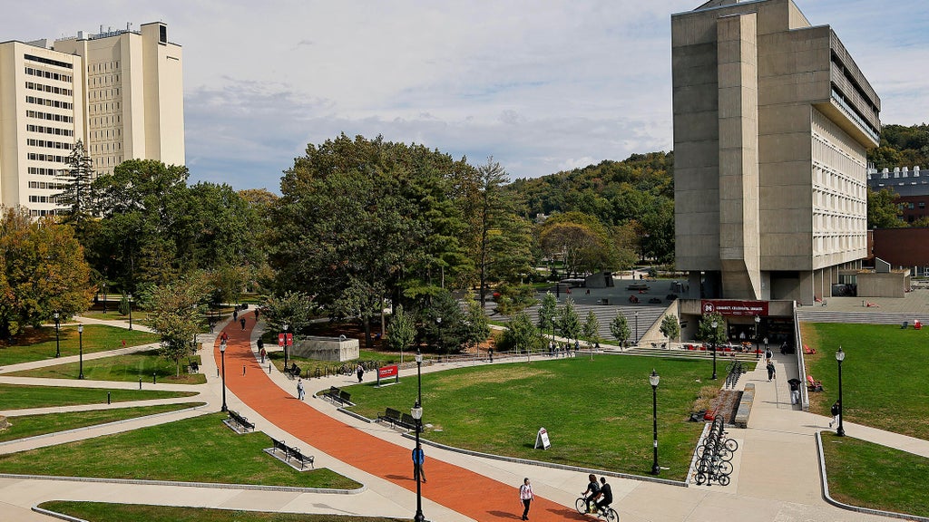 A quintessential college campus quad with lots of greenery and a brick path cutting through the center.