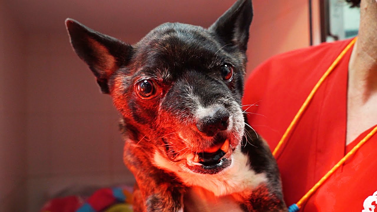 Claus’s Incredible Transformation See How We Helped Him!