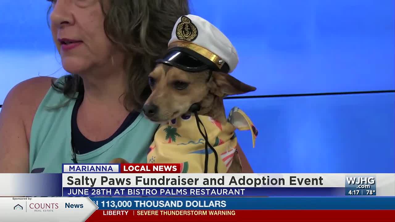 Enjoy some fun, food, and some adorable dogs at the Salty Paws event