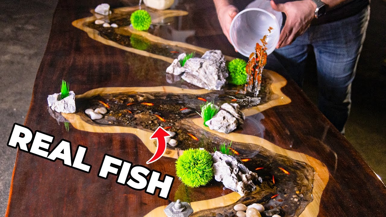 I build a table with a stream for real fish