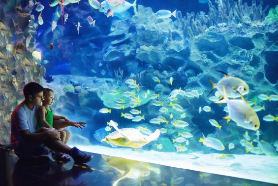 24 Ways to Keep Summer Learning Fun to Prevent the Summer Slide
