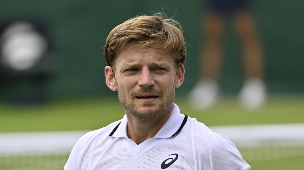 David Goffin, nouveau retraité : « Quand j’ai commencé ma carrière, j ...