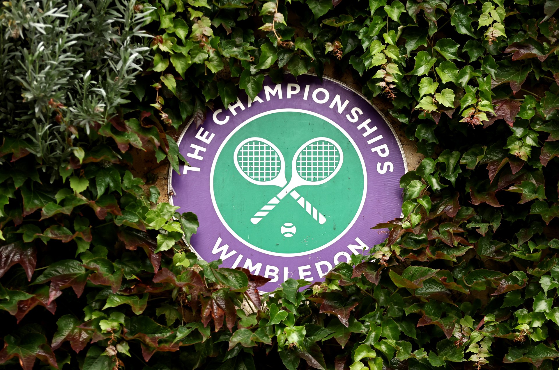 Wimbledon 2025 full guide everything you need to know