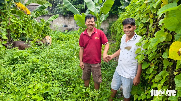 Hai con bò đi lạc và cái kết có hậu