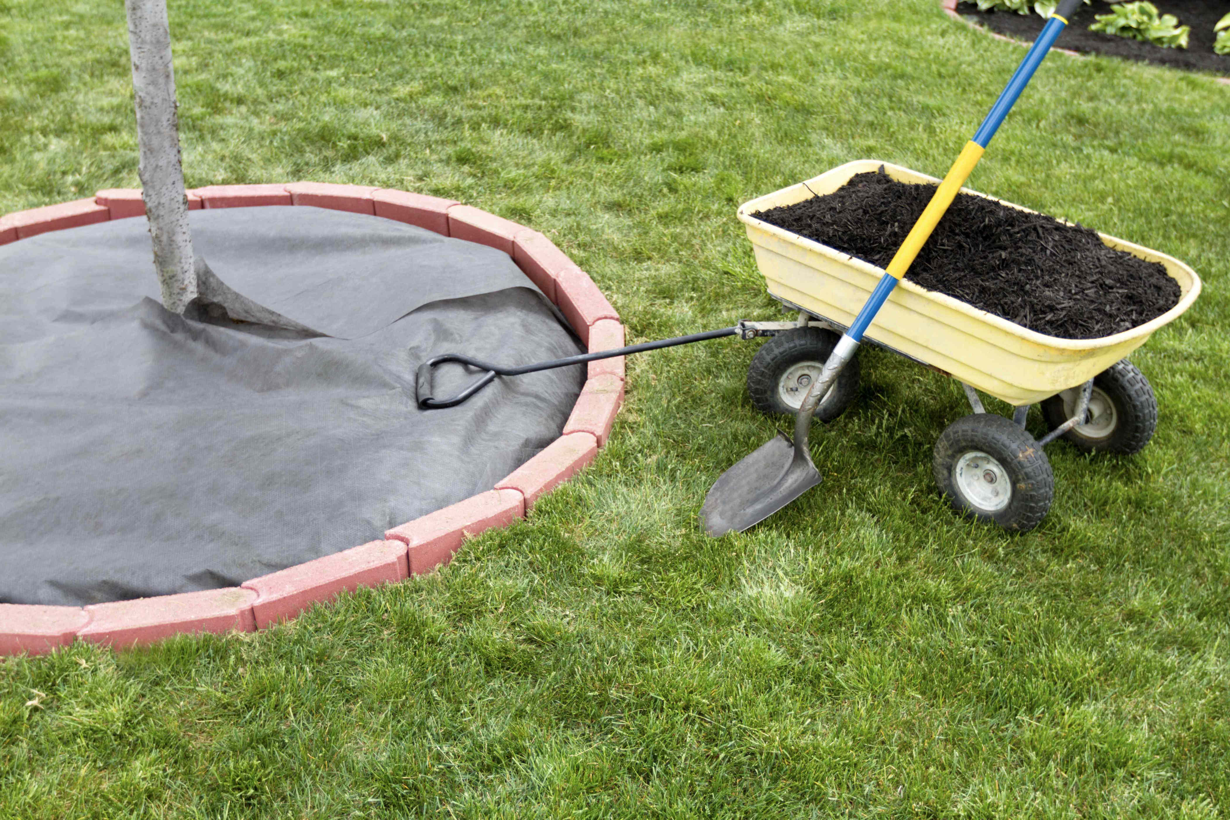 6 reasons why landscape fabric is such a bad idea—and what to use instead