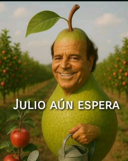 Los memes de Julio Iglesias