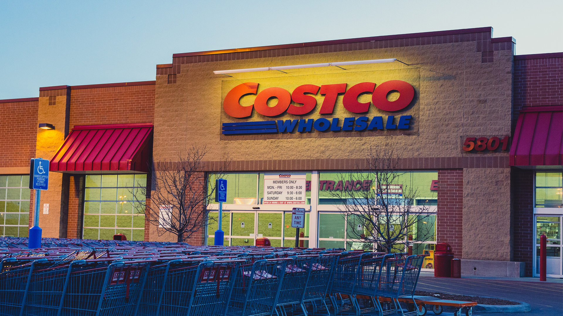 The 30 best female vocalists of all time