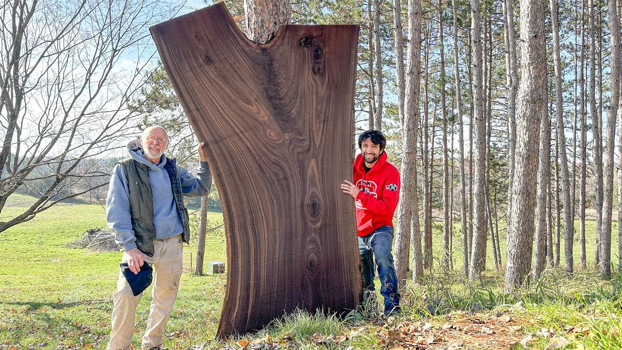 His Great Grandfather Planted this Walnut Tree and it was going to be ...